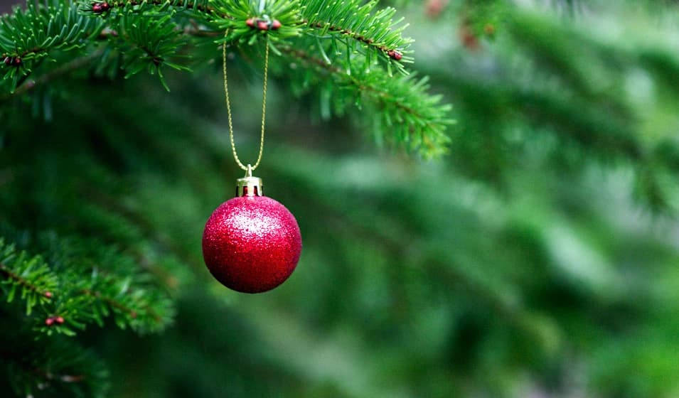 Que faire de son sapin de Noël après les fêtes ?