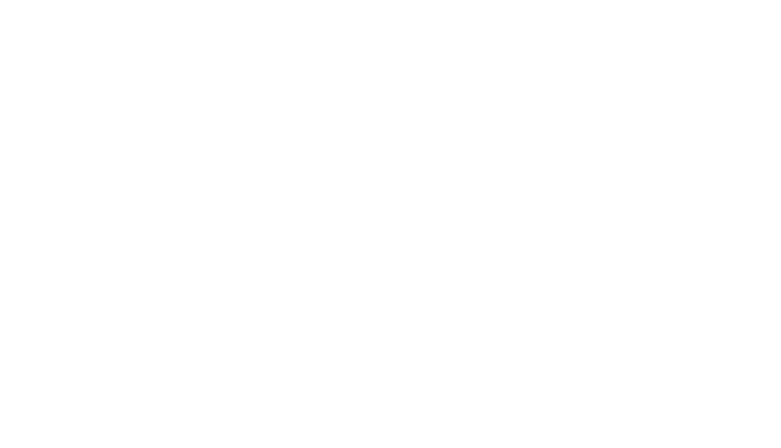 Le Roi des Forêts