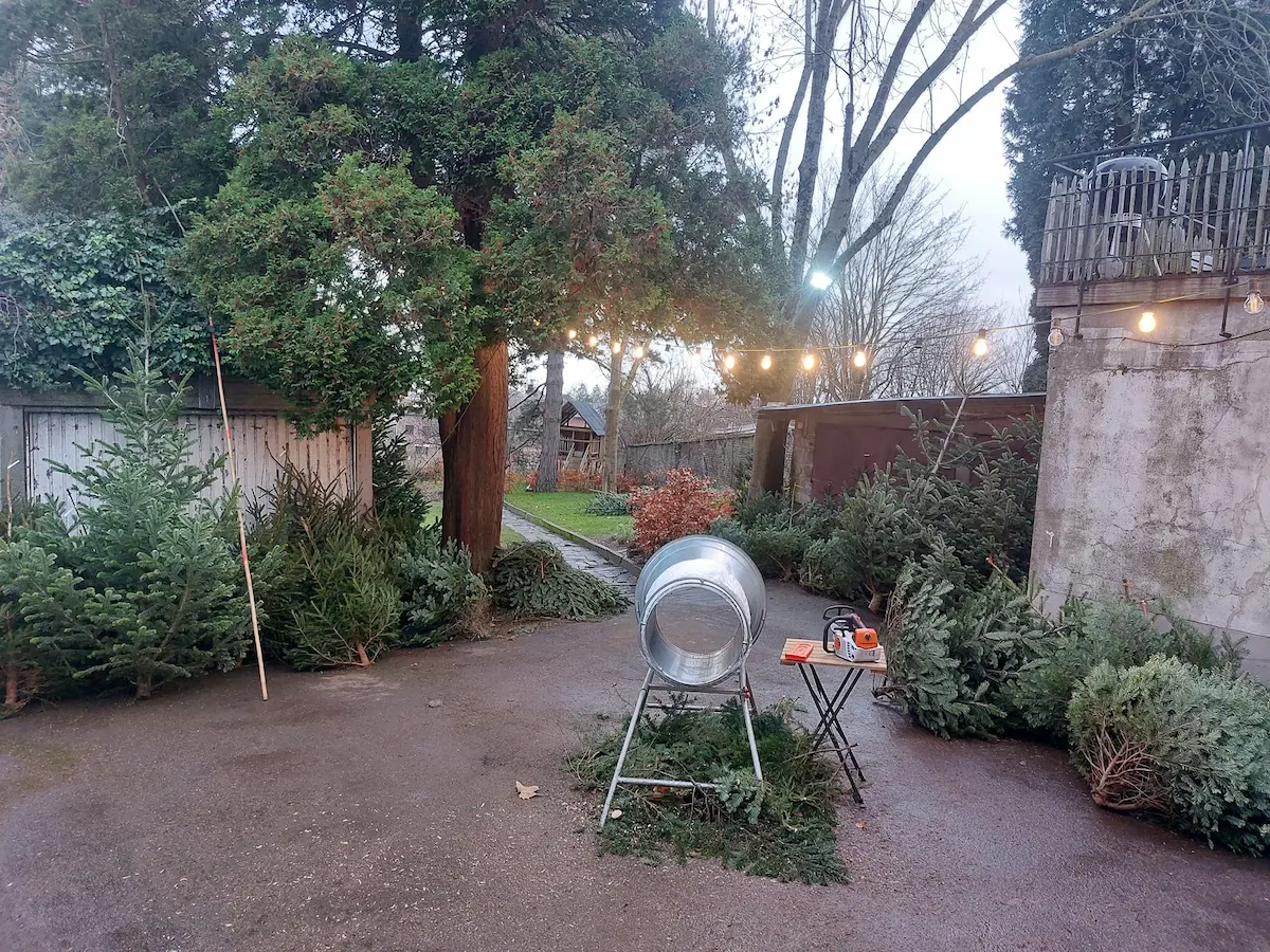Zone de préparation : coupe du tronc et mise sous filet.